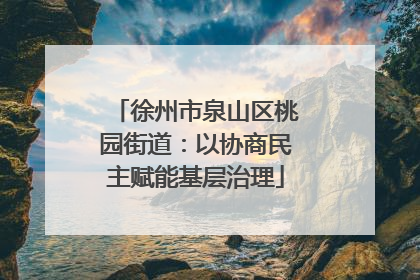 徐州市泉山区桃园街道：以协商民主赋能基层治理