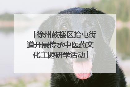 徐州鼓楼区拾屯街道开展传承中医药文化主题研学活动