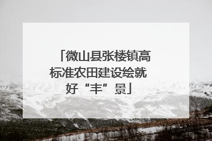 微山县张楼镇高标准农田建设绘就好“丰”景