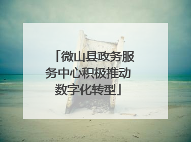 微山县政务服务中心积极推动数字化转型