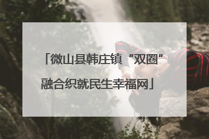 微山县韩庄镇“双圈”融合织就民生幸福网