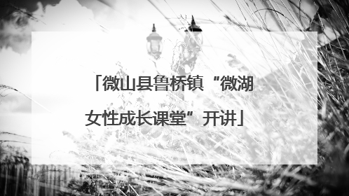 微山县鲁桥镇“微湖女性成长课堂”开讲