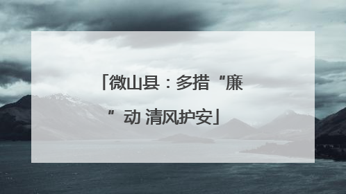 微山县：多措“廉”动 清风护安