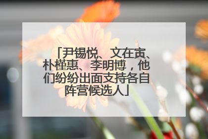 尹锡悦、文在寅、朴槿惠、李明博，他们纷纷出面支持各自阵营候选人