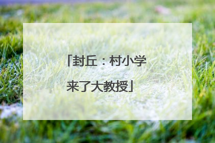 封丘：村小学来了大教授