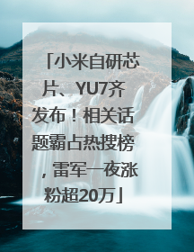 小米自研芯片、YU7齐发布！相关话题霸占热搜榜，雷军一夜涨粉超20万