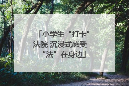 小学生“打卡”法院 沉浸式感受“法”在身边