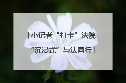 小记者“打卡”法院 “沉浸式”与法同行