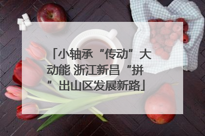 小轴承“传动”大动能 浙江新昌“拼”出山区发展新路
