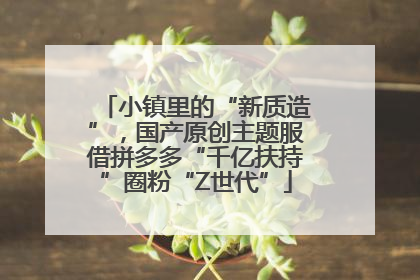 小镇里的“新质造”，国产原创主题服借拼多多“千亿扶持”圈粉“Z世代”