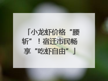 小龙虾价格“腰斩”！宿迁市民畅享“吃虾自由”