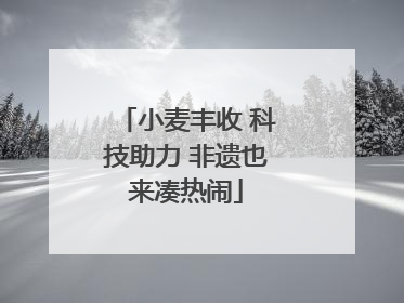 小麦丰收 科技助力 非遗也来凑热闹