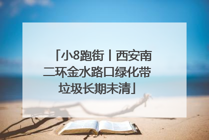 小8跑街丨西安南二环金水路口绿化带垃圾长期未清