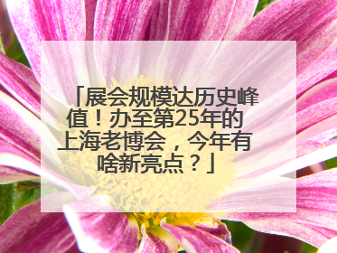 展会规模达历史峰值！办至第25年的上海老博会，今年有啥新亮点？