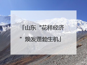 山东“花样经济”焕发蓬勃生机