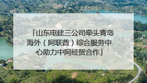山东电建三公司牵头青岛海外（阿联酋）综合服务中心助力中阿经贸合作