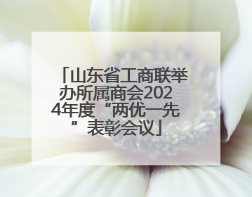 山东省工商联举办所属商会2024年度“两优一先”表彰会议