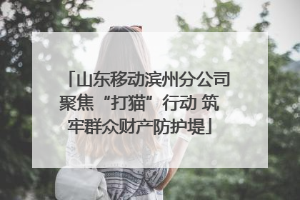 山东移动滨州分公司聚焦“打猫”行动 筑牢群众财产防护堤