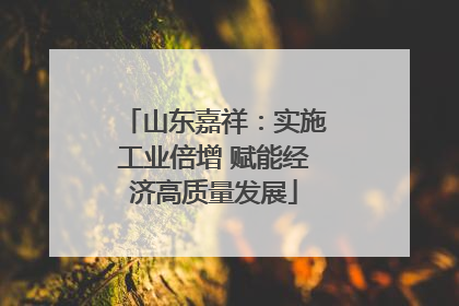 山东嘉祥：实施工业倍增 赋能经济高质量发展