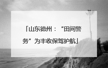山东德州：“田间警务”为丰收保驾护航