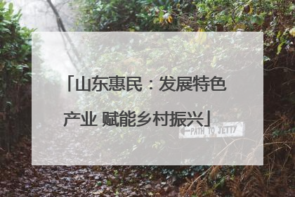 山东惠民：发展特色产业 赋能乡村振兴