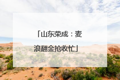 山东荣成：麦浪翻金抢收忙
