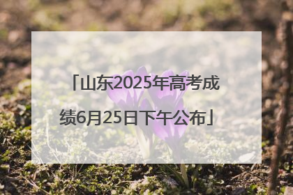 山东2025年高考成绩6月25日下午公布