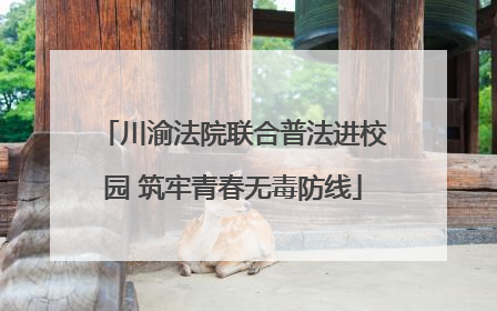 川渝法院联合普法进校园 筑牢青春无毒防线