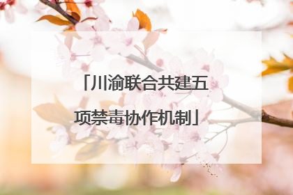 川渝联合共建五项禁毒协作机制
