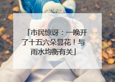 市民惊讶：一晚开了十五六朵昙花！与雨水均衡有关