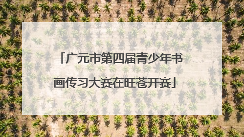 广元市第四届青少年书画传习大赛在旺苍开赛