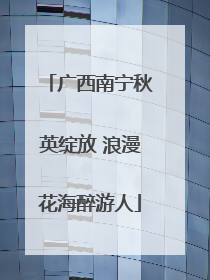 广西南宁秋英绽放 浪漫花海醉游人