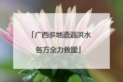 广西多地遭遇洪水 各方全力救援