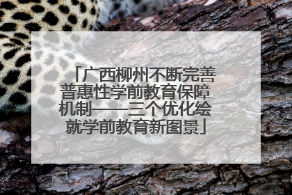 广西柳州不断完善普惠性学前教育保障机制——三个优化绘就学前教育新图景