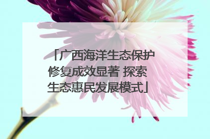 广西海洋生态保护修复成效显著 探索生态惠民发展模式