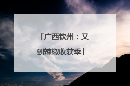 广西钦州：又到辣椒收获季