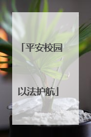 平安校园 以法护航