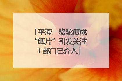 平潭一骆驼瘦成“纸片”引发关注！部门已介入