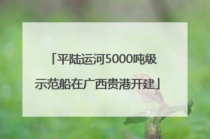 平陆运河5000吨级示范船在广西贵港开建