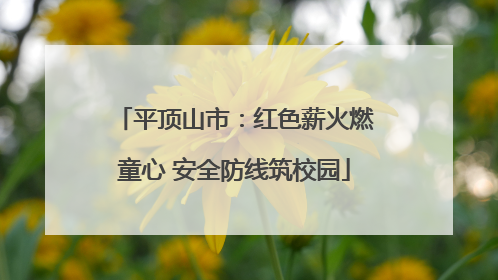 平顶山市：红色薪火燃童心 安全防线筑校园