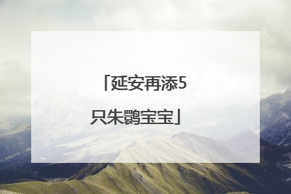 延安再添5只朱鹮宝宝