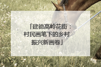 建德高岭花街：村民画笔下的乡村振兴新画卷