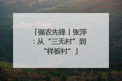强农先锋丨张萍：从“三无村”到“样板村”