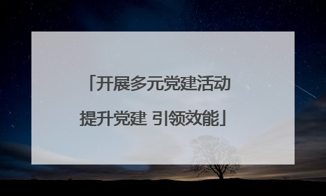 开展多元党建活动 提升党建 引领效能