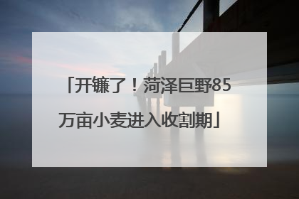 开镰了！菏泽巨野85万亩小麦进入收割期