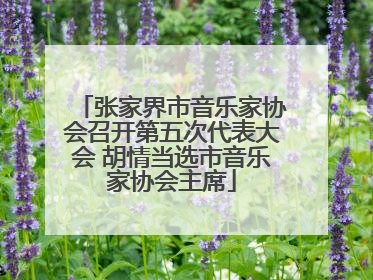 张家界市音乐家协会召开第五次代表大会 胡情当选市音乐家协会主席