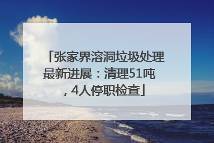 张家界溶洞垃圾处理最新进展：清理51吨，4人停职检查