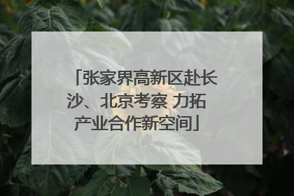 张家界高新区赴长沙、北京考察 力拓产业合作新空间