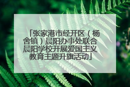 张家港市经开区（杨舍镇）晨阳办事处联合晨阳学校开展爱国主义教育主题升旗活动