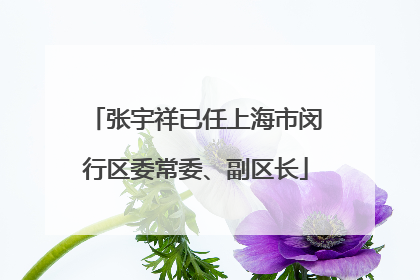 张宇祥已任上海市闵行区委常委、副区长